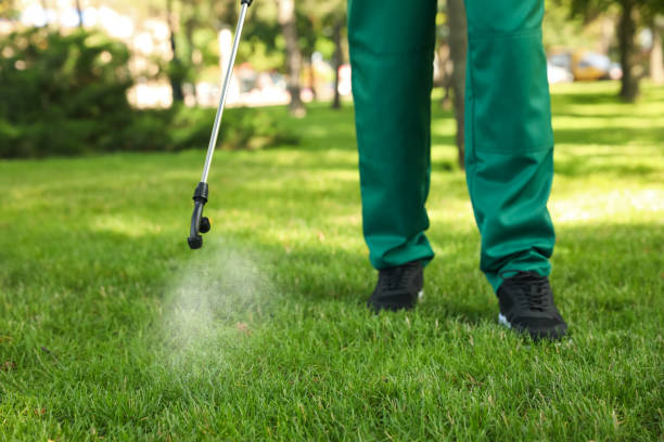 Best Pest Inspection Near Me  in Lmer Heights, PA