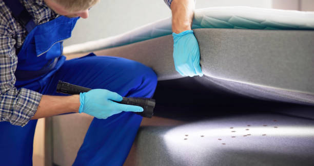 Best Emergency Pest Control  in Lmer Heights, PA