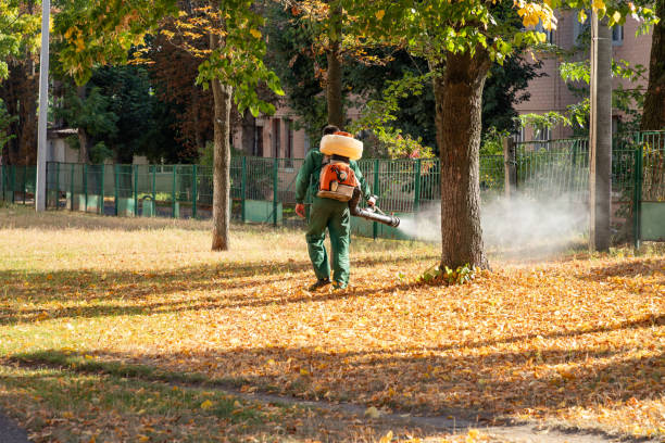 Best Best Pest Control Companies  in Lmer Heights, PA