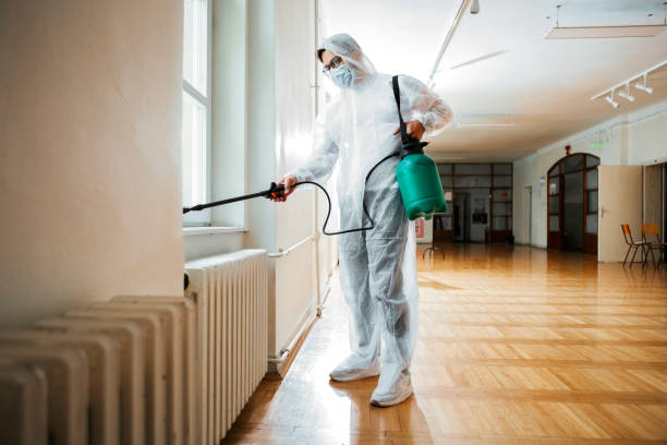 Best Pest Prevention Services  in Lmer Heights, PA