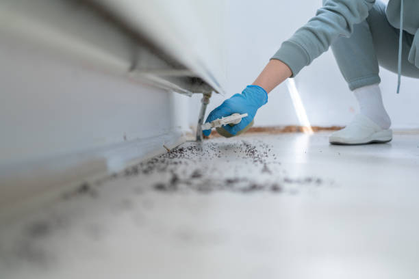 Best Mosquito Control Services  in Lmer Heights, PA